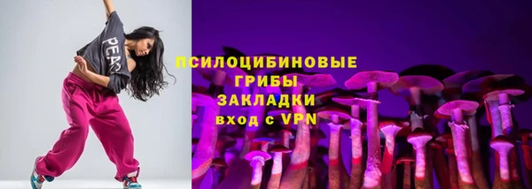 ПСИЛОЦИБИНОВЫЕ ГРИБЫ Болохово