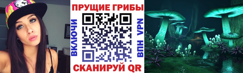 Псилоцибиновые грибы Cubensis  Лысьва 